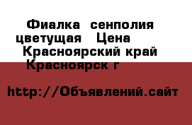 Фиалка (сенполия) цветущая › Цена ­ 180 - Красноярский край, Красноярск г.  »    